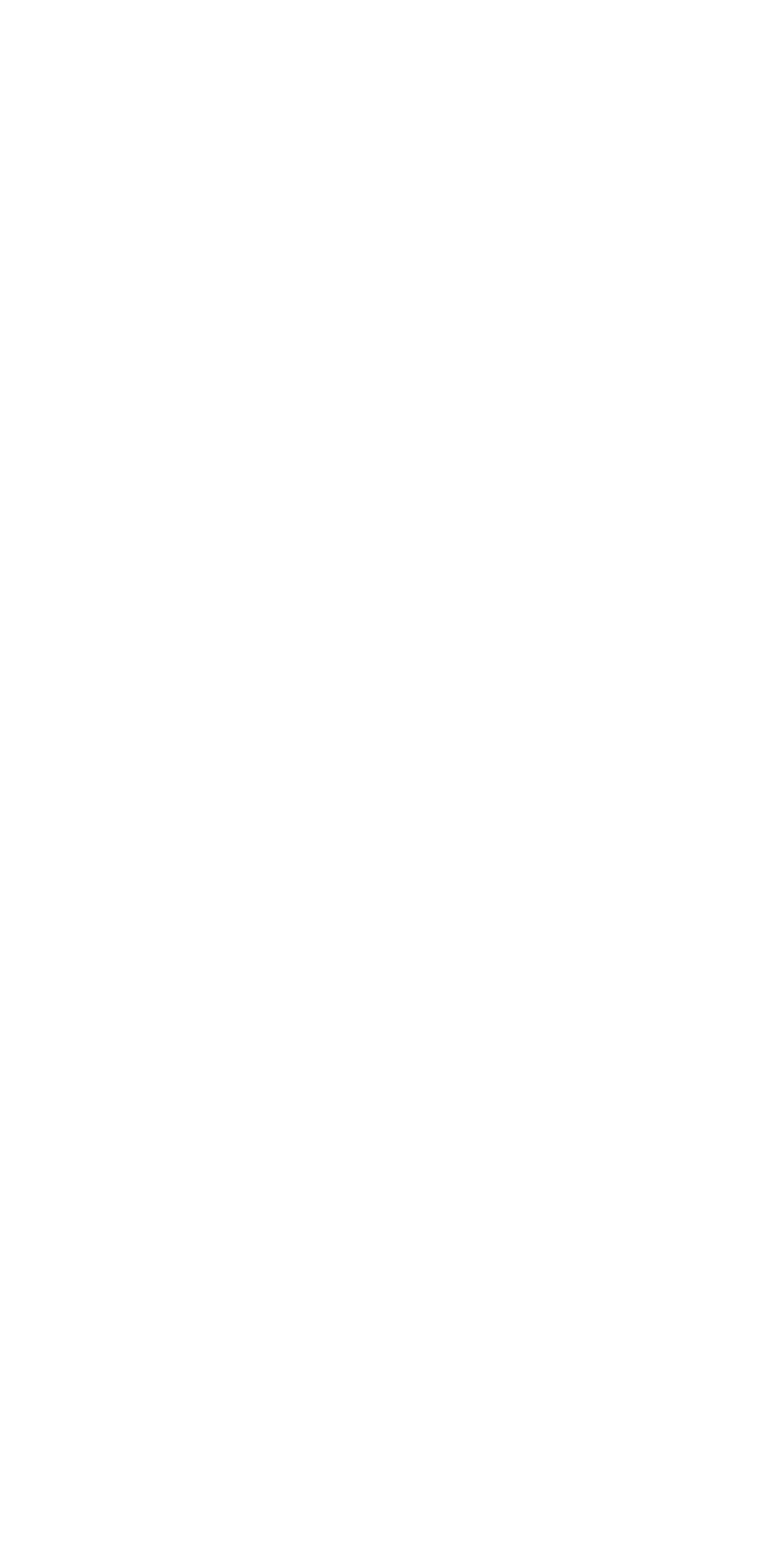 Cathédrale de Tours